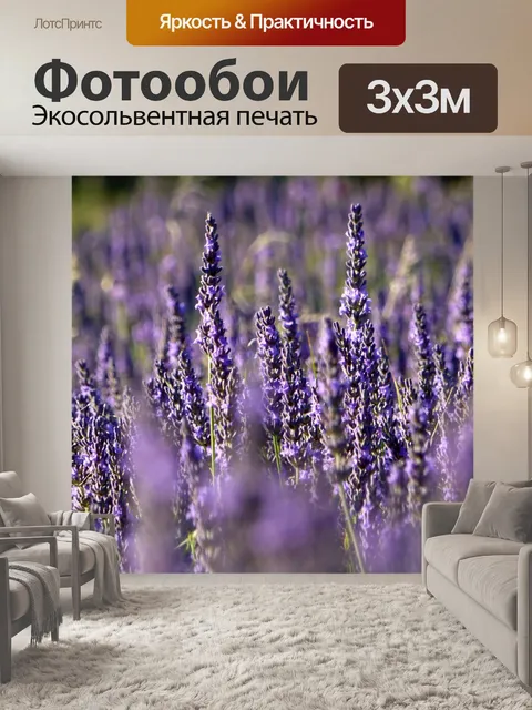 Фотообои Лаванда