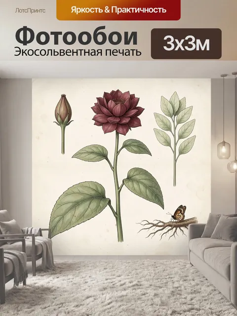 Фотообои Ботаническая иллюстрация цветка и бабочки