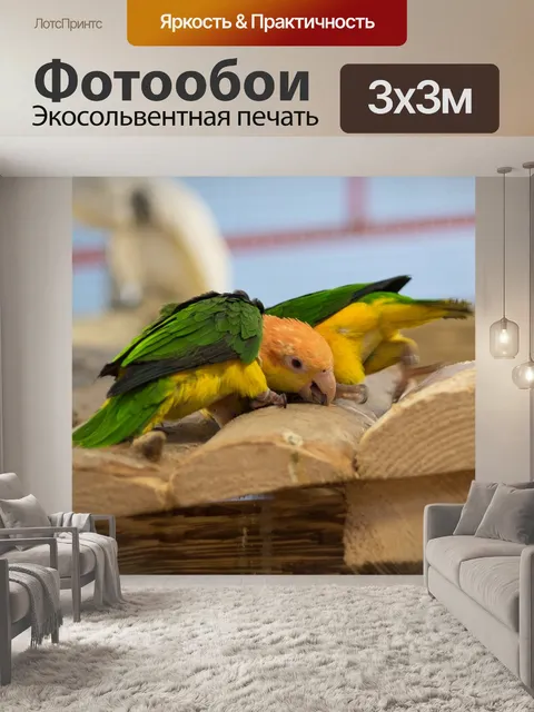 Фотообои Попугай