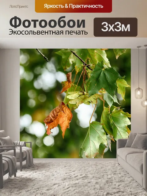 Фотообои Листья