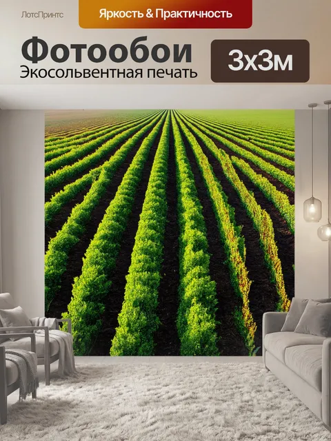 Фотообои поле, ухоженное, с идеально симметричными рядами растений, которые создают успокаивающее зрительное восприятие