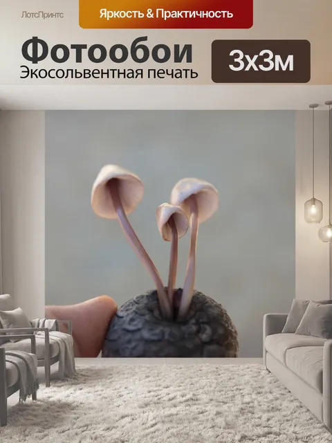 Фотообои Грибы