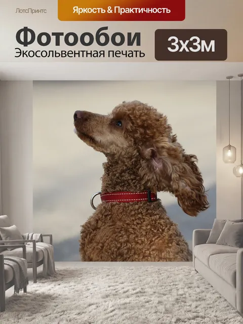 Фотообои Собака