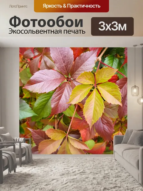 Фотообои Красочные осенние листья