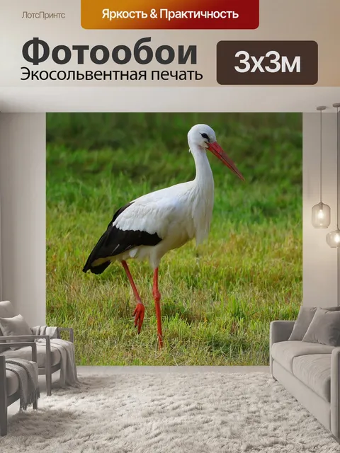 Фотообои Аист