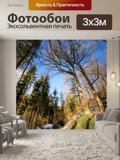Фотообои Лес