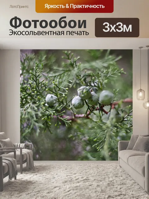 Фотообои Лес