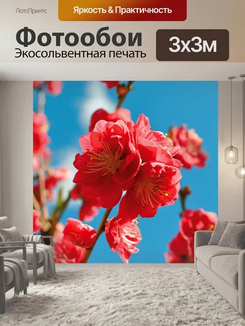 Фотообои Цветы