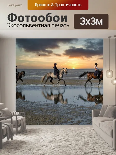 Фотообои Езда на лошади