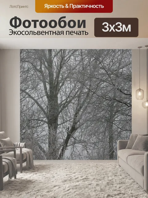 Фотообои Зима