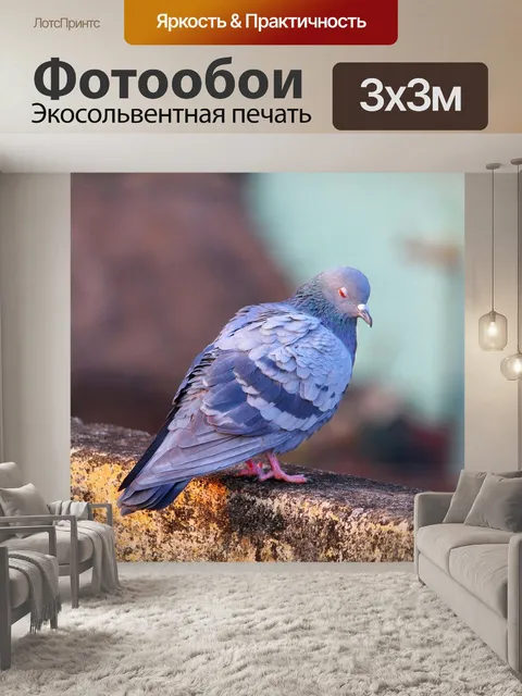 Фотообои Птицы