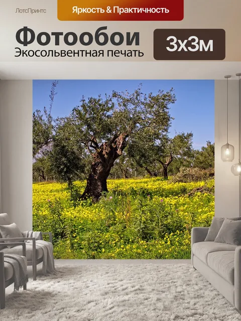 Фотообои Оливковое дерево