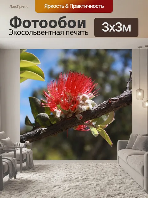 Фотообои Дерево