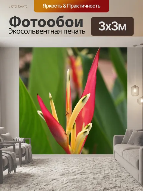 Фотообои Цветы