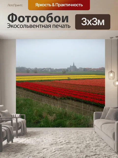 Фотообои Поля тюльпанов