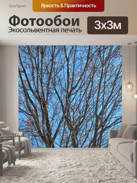 Фотообои Бесплодное дерево фона