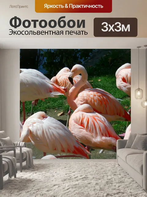 Фотообои Фламинго