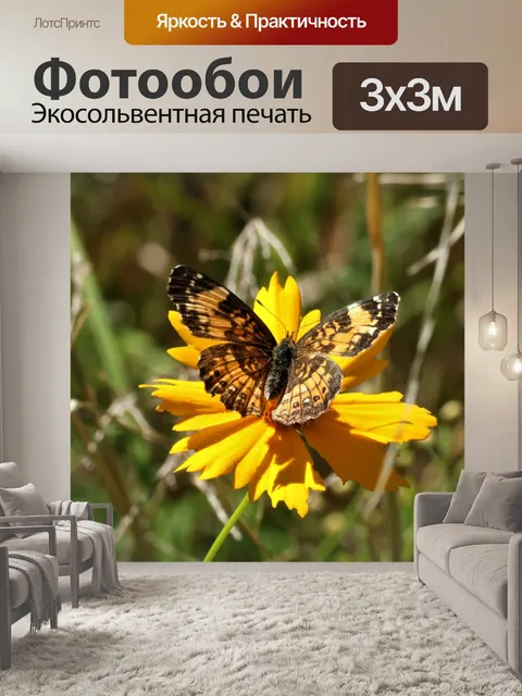 Фотообои Серебристая клетчатая бабочка 3