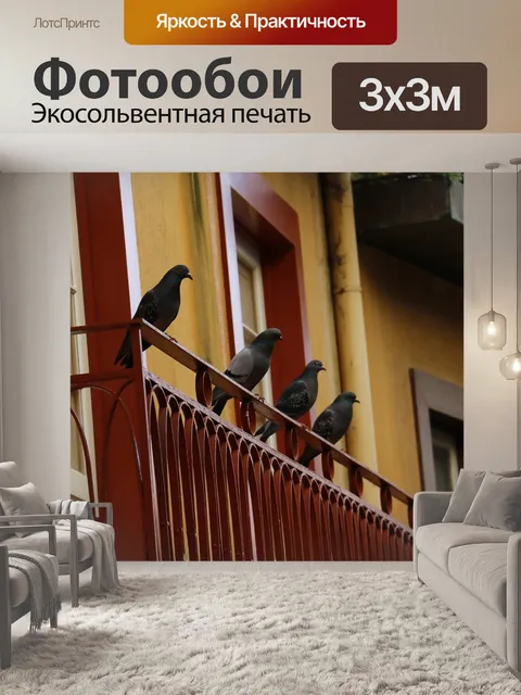 Фотообои Голубь