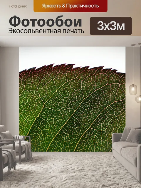 Фотообои Розенблатт