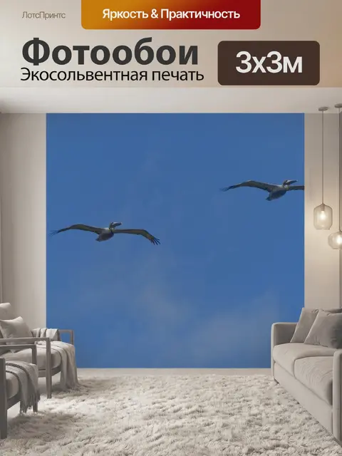 Фотообои Два пеликана в полете