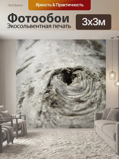 Фотообои Дерево Часть Макро 12