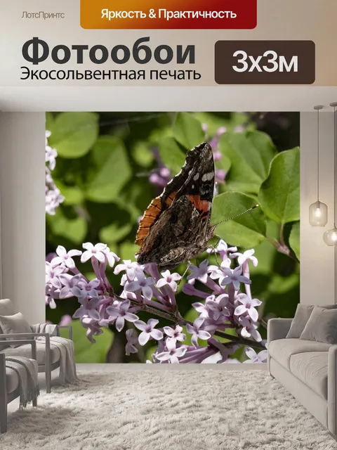 Фотообои Моль