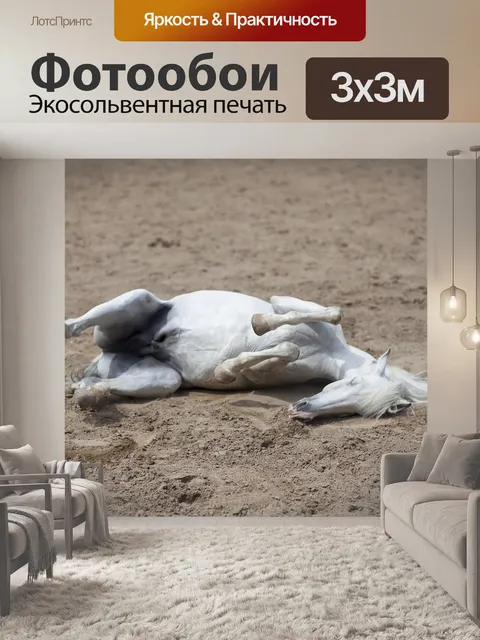 Фотообои Лошадь