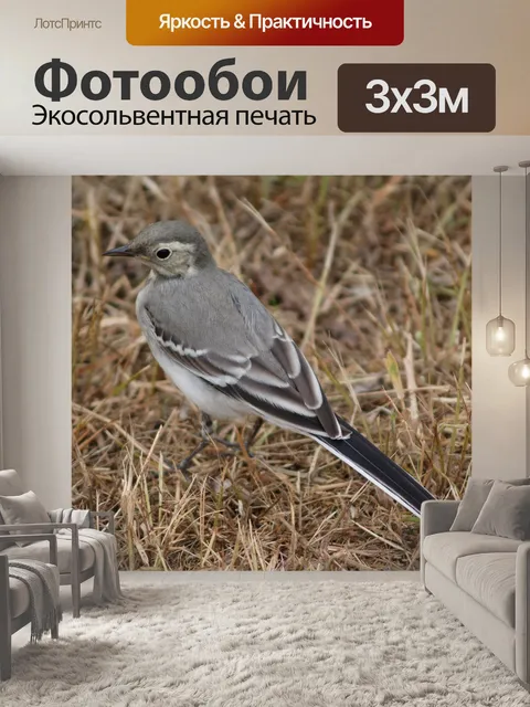 Фотообои Природа
