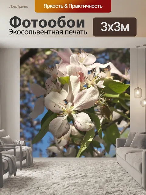 Фотообои Розовый