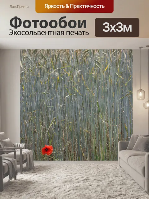 Фотообои Мак