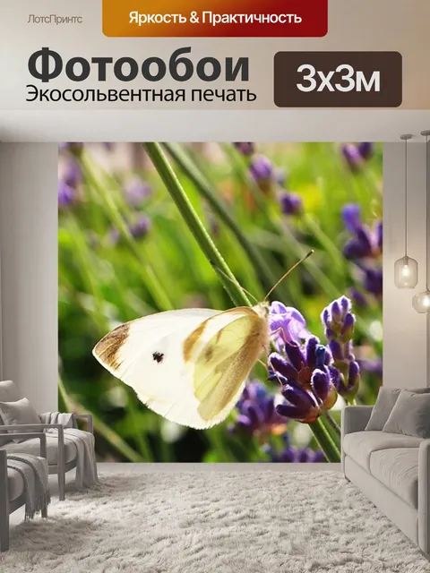 Фотообои Бабочка