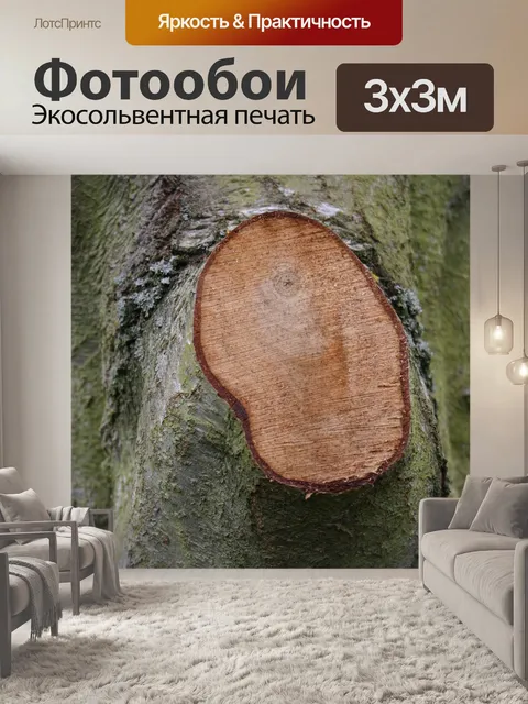 Фотообои Древесина