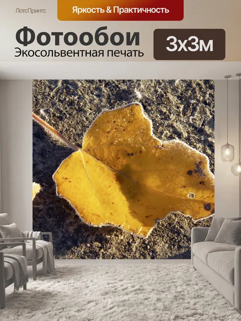 Фотообои Листья серебристого тополя