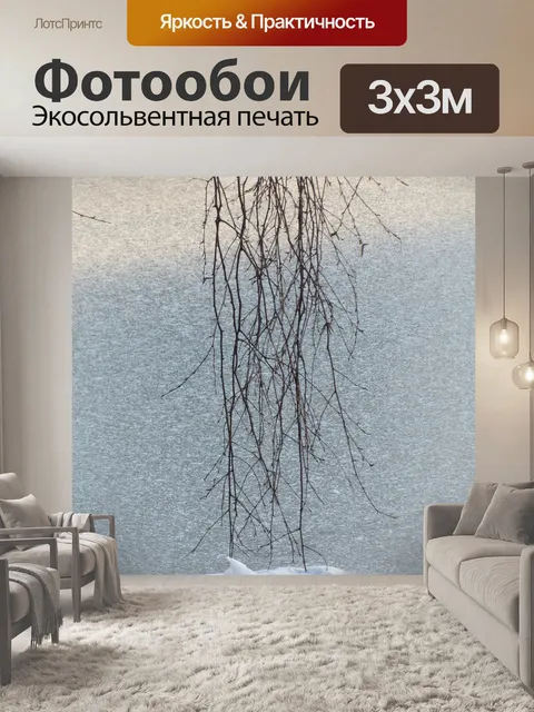 Фотообои Мороженое