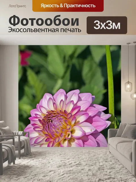 Фотообои Природа