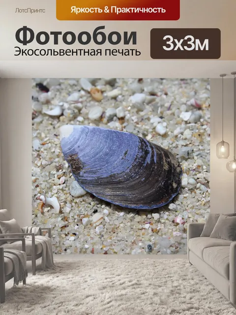 Фотообои Оболочка
