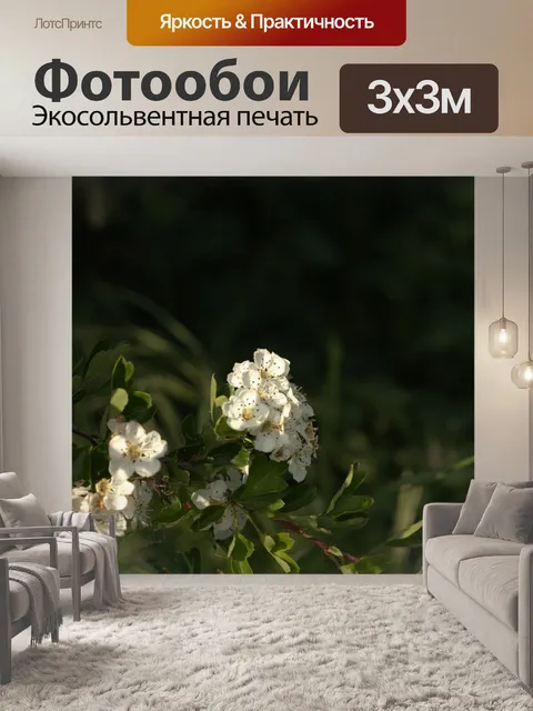 Фотообои Крупным планом цветы