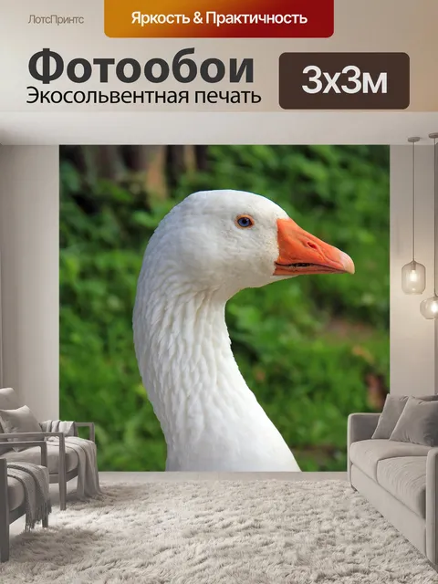 Фотообои Животное