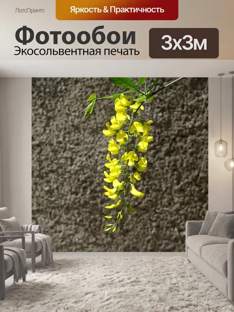 Фотообои Laburnum