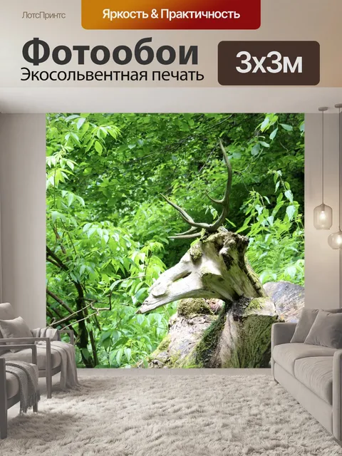 Фотообои Рога оленя