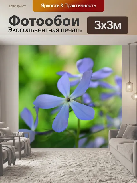 Фотообои Цветы