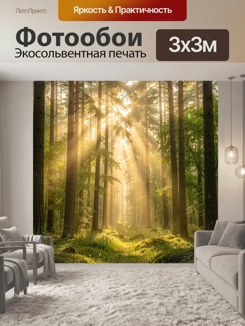 Фотообои Солнечный лес с лучами света