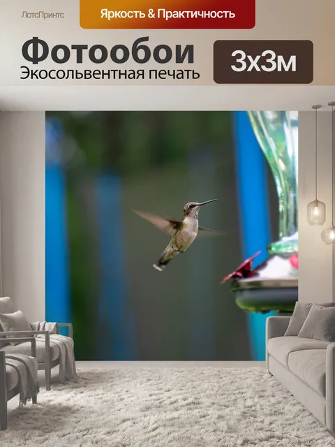 Фотообои Птица