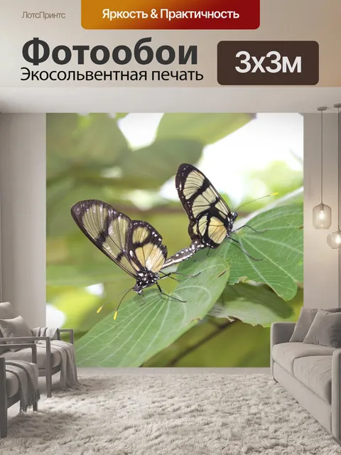 Фотообои Бабочки