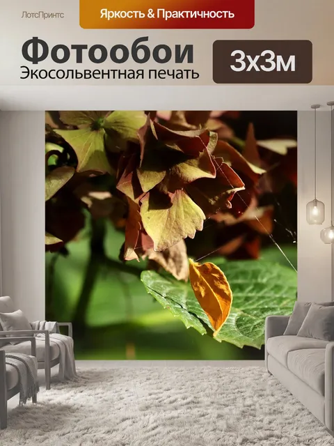 Фотообои Гортензия