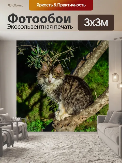 Фотообои Кошка