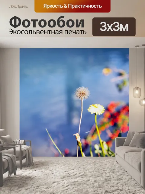 Фотообои Одуванчик