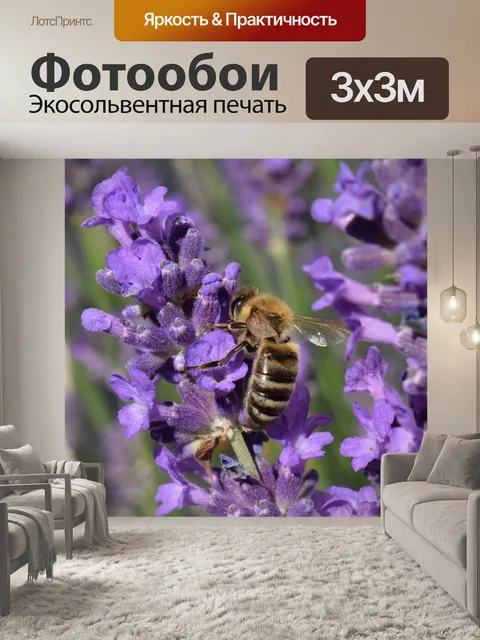 Фотообои Пчела