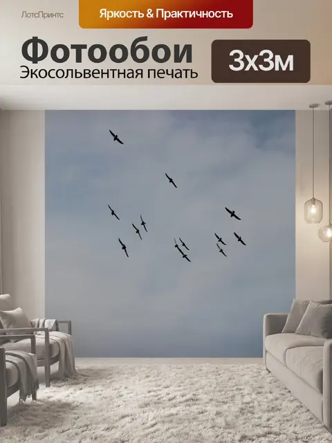 Фотообои Птицы